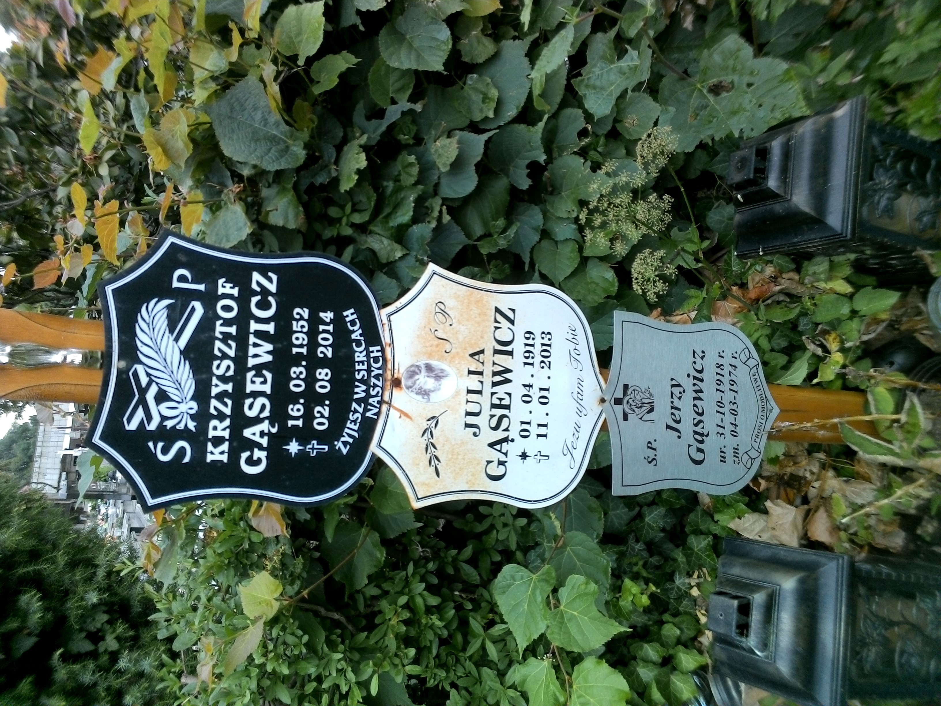  Gąsewicz 1919 Strzegom - Grobonet - Wyszukiwarka osób pochowanych