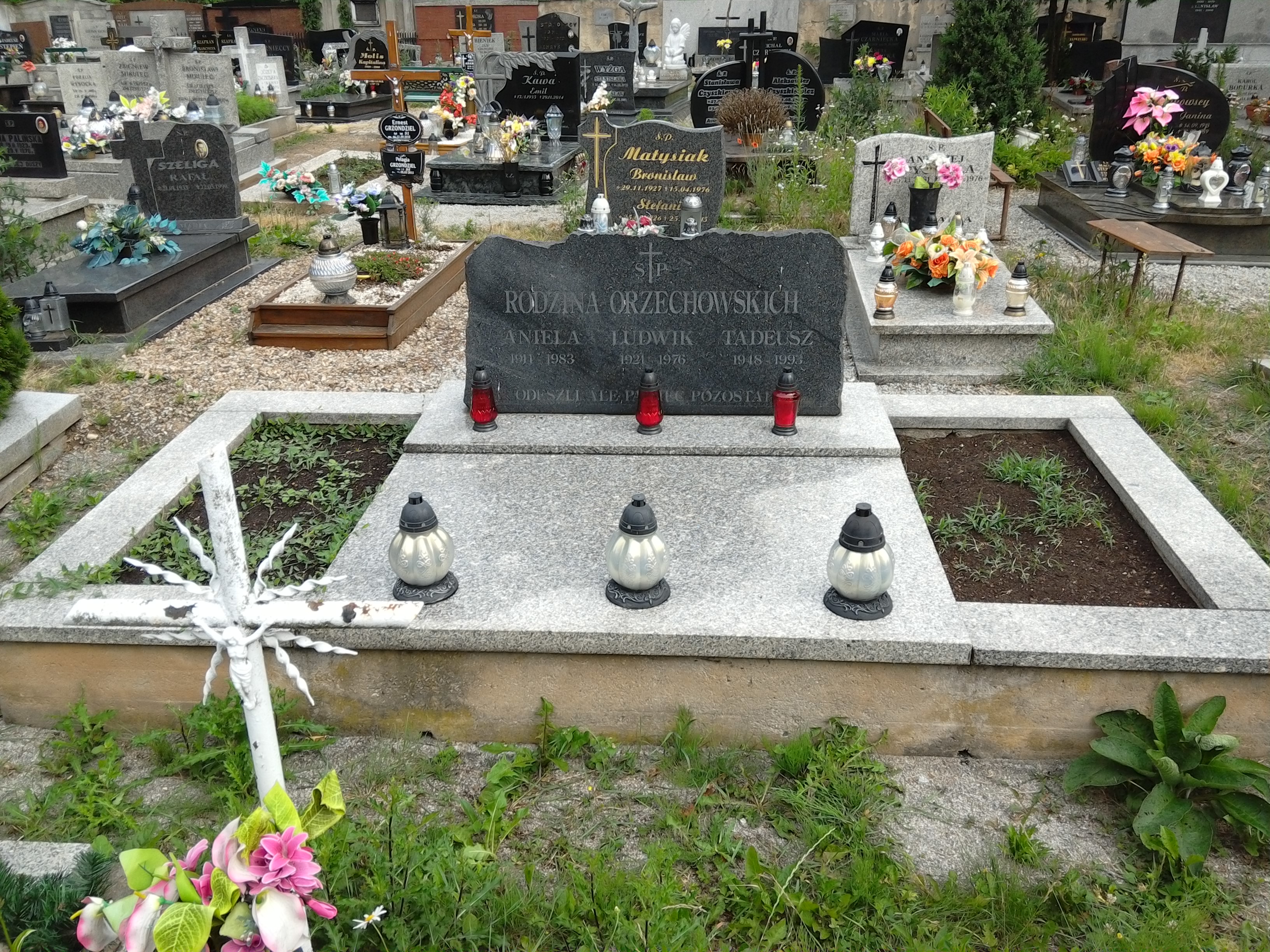 Ludwik Orzechowski 1921 Strzegom - Grobonet - Wyszukiwarka osób pochowanych