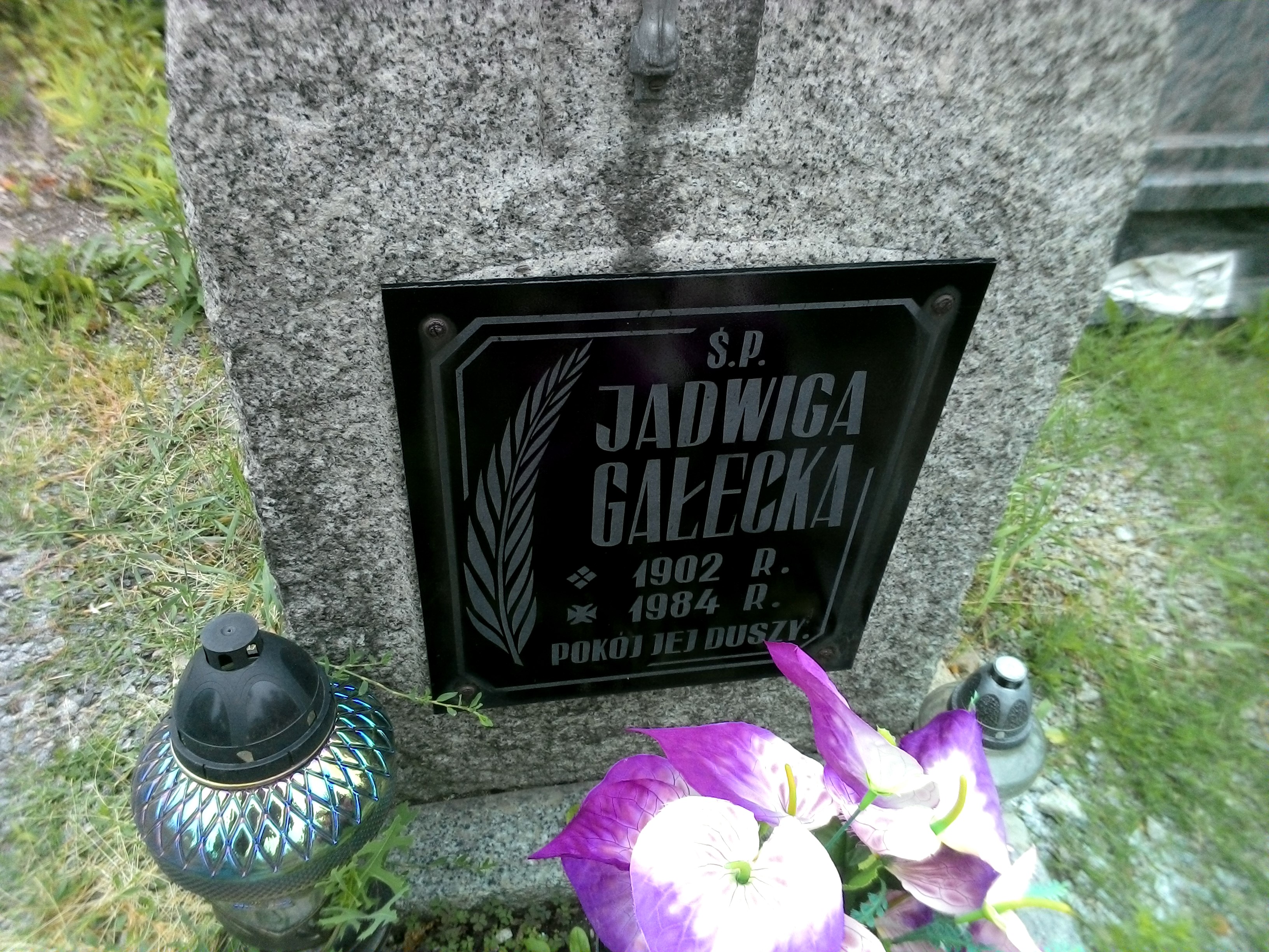 Jadwiga Gałecka 1902 Strzegom - Grobonet - Wyszukiwarka osób pochowanych