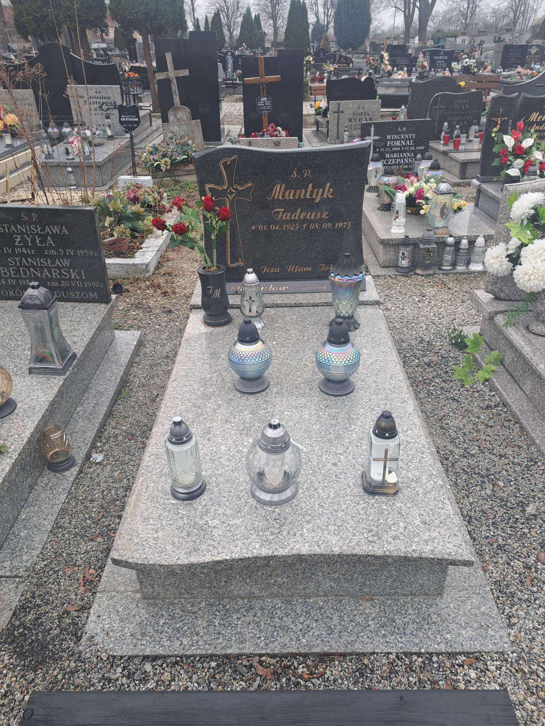 Tadeusz Mantyk 1925 Strzegom - Grobonet - Wyszukiwarka osób pochowanych