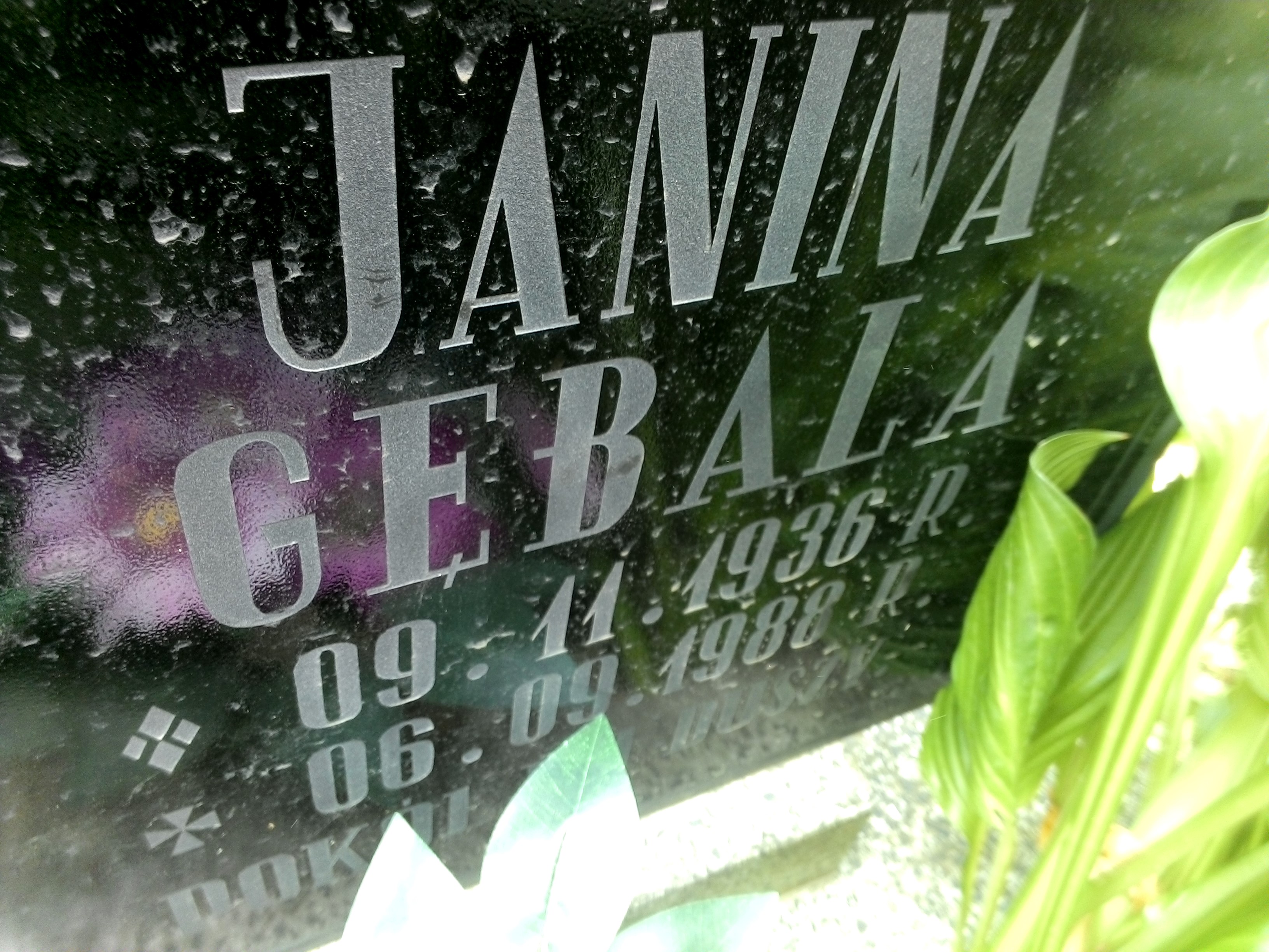 Zdjęcie grobu
