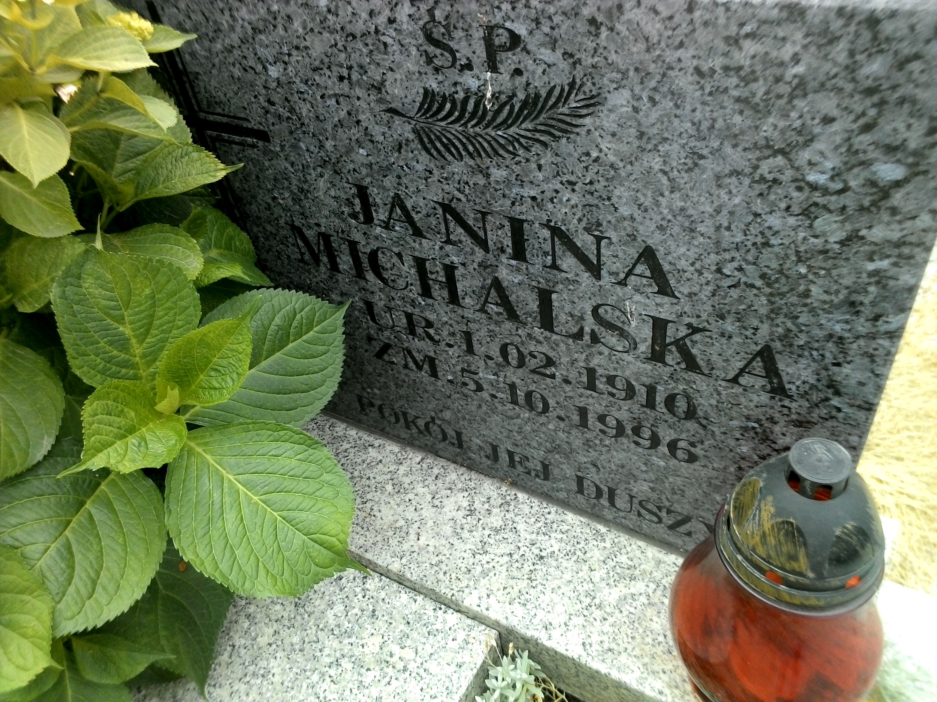Janina Michalska 1910 Strzegom - Grobonet - Wyszukiwarka osób pochowanych