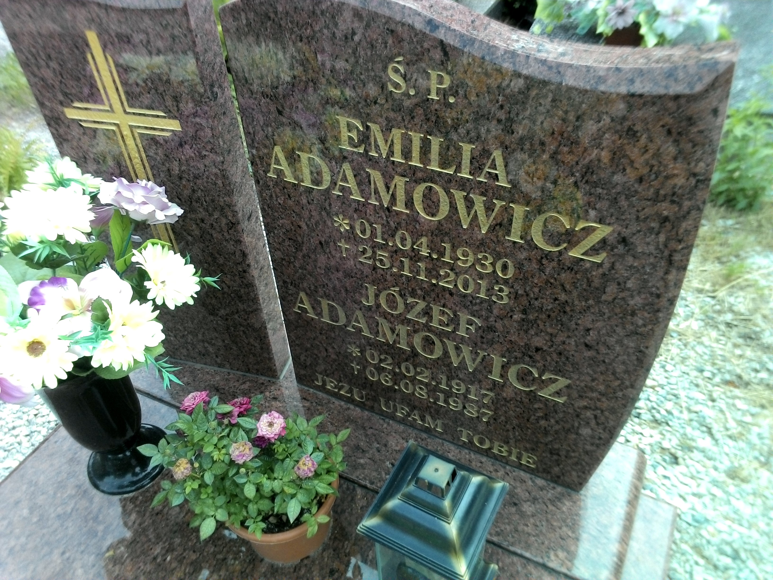 Emilia Adamowicz 1930 Strzegom - Grobonet - Wyszukiwarka osób pochowanych