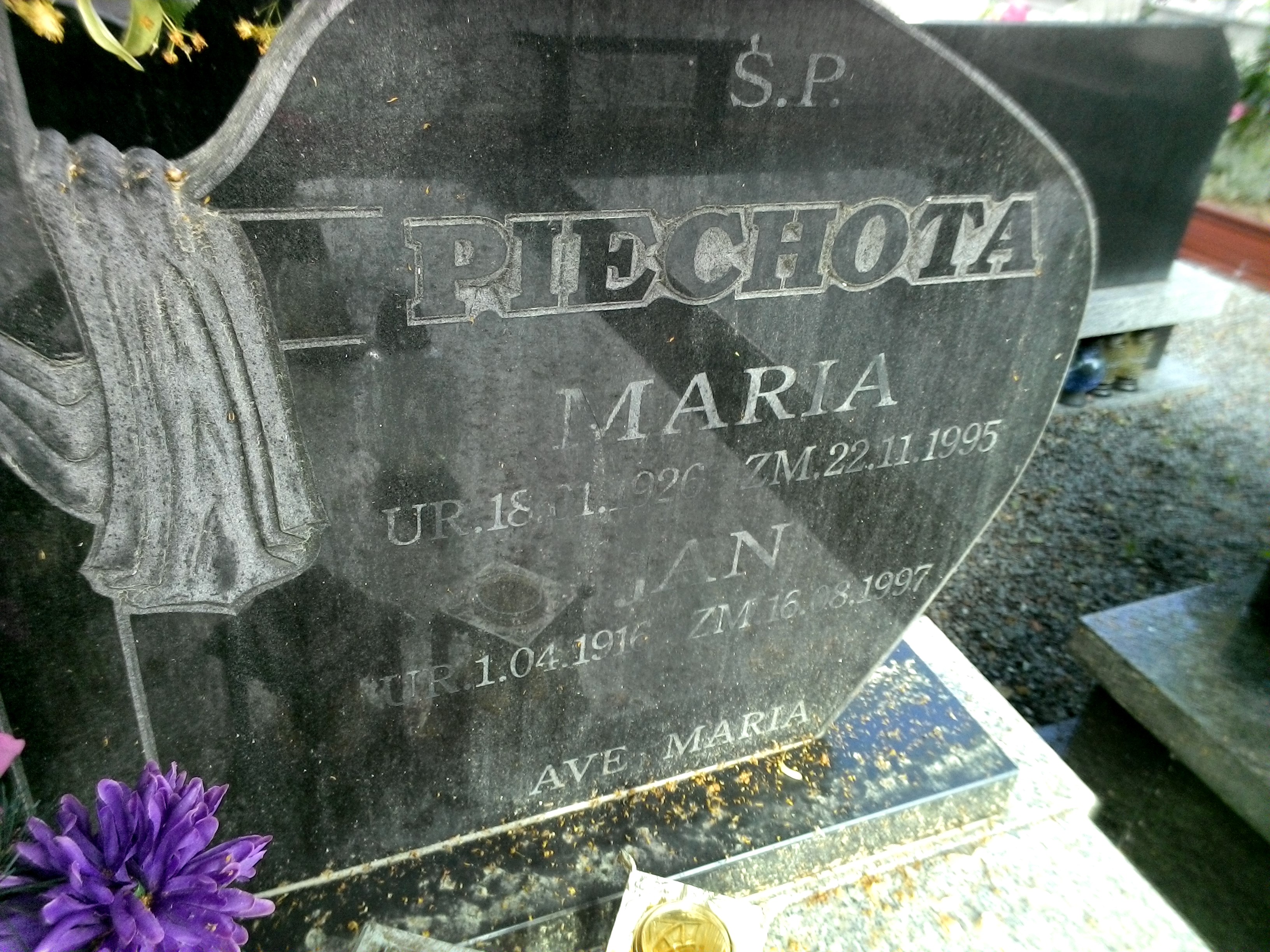 Jan Piechota 1916 Strzegom - Grobonet - Wyszukiwarka osób pochowanych