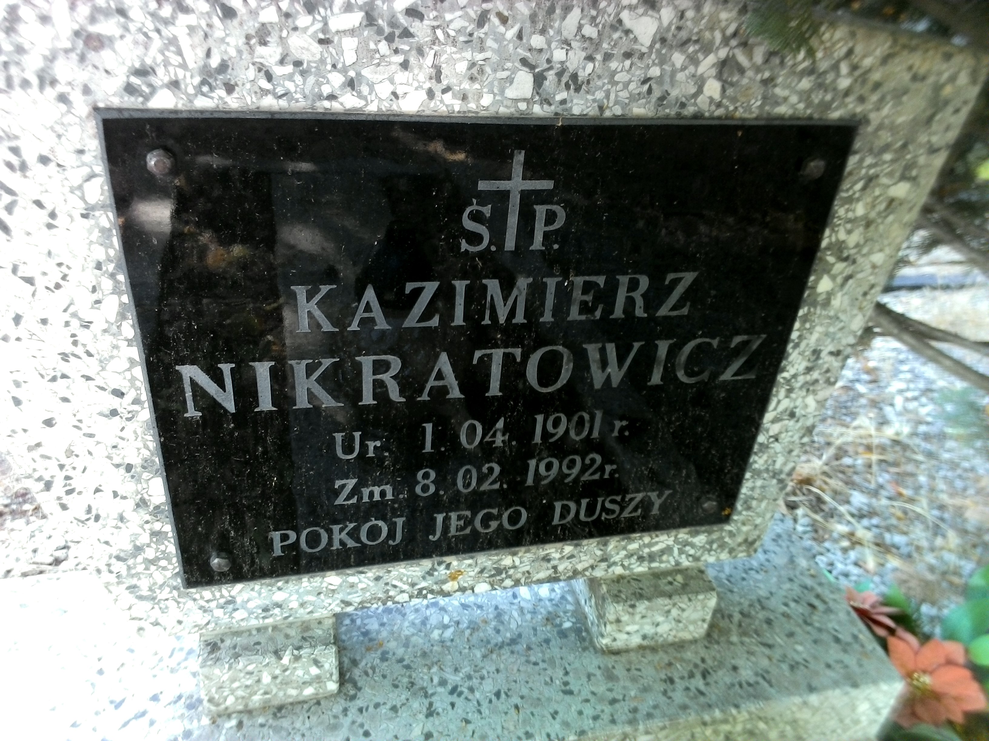 Kazimierz Nikratowicz 1901 Strzegom - Grobonet - Wyszukiwarka osób pochowanych