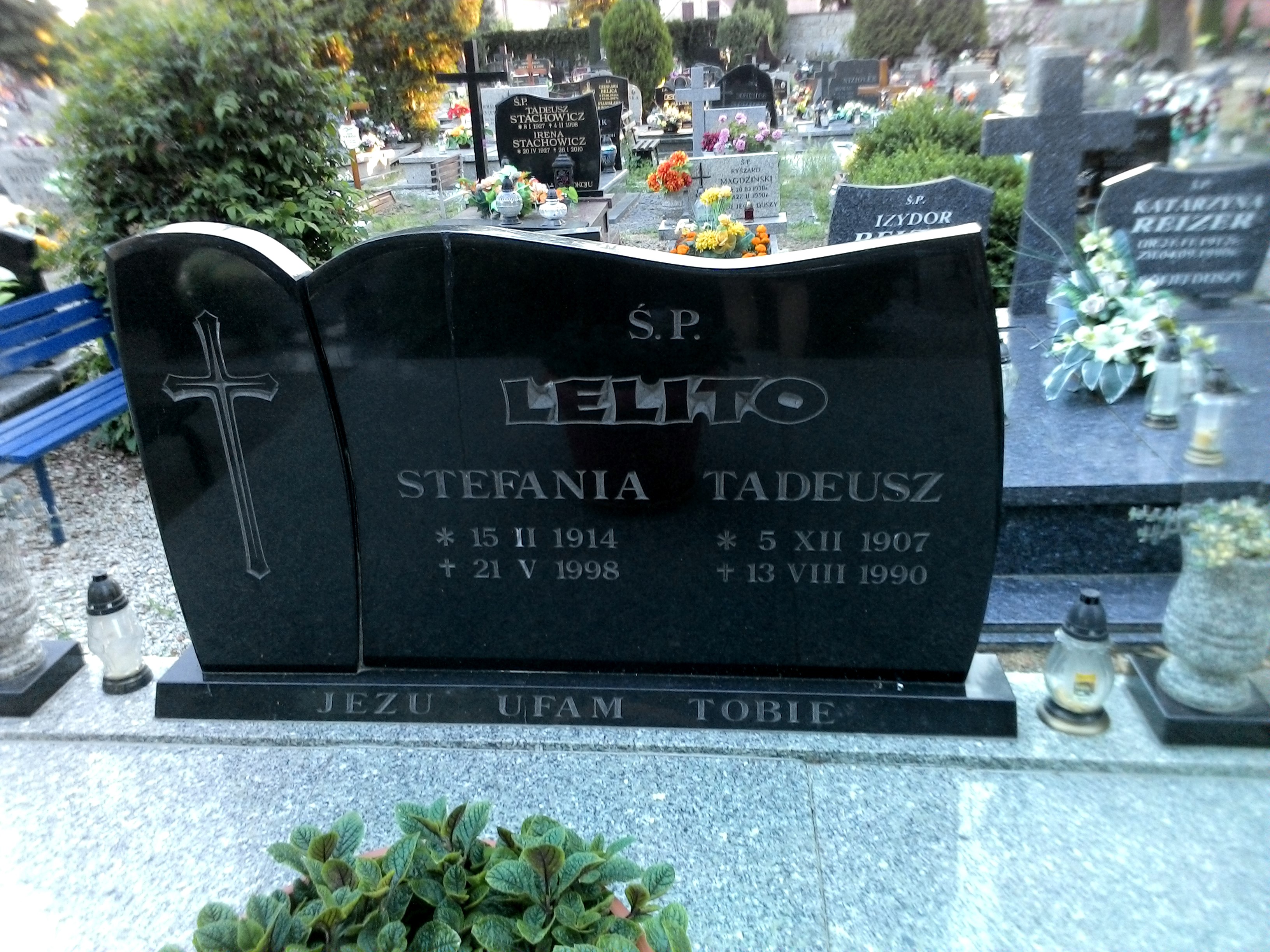 Stefania Lelito 1914 Strzegom - Grobonet - Wyszukiwarka osób pochowanych