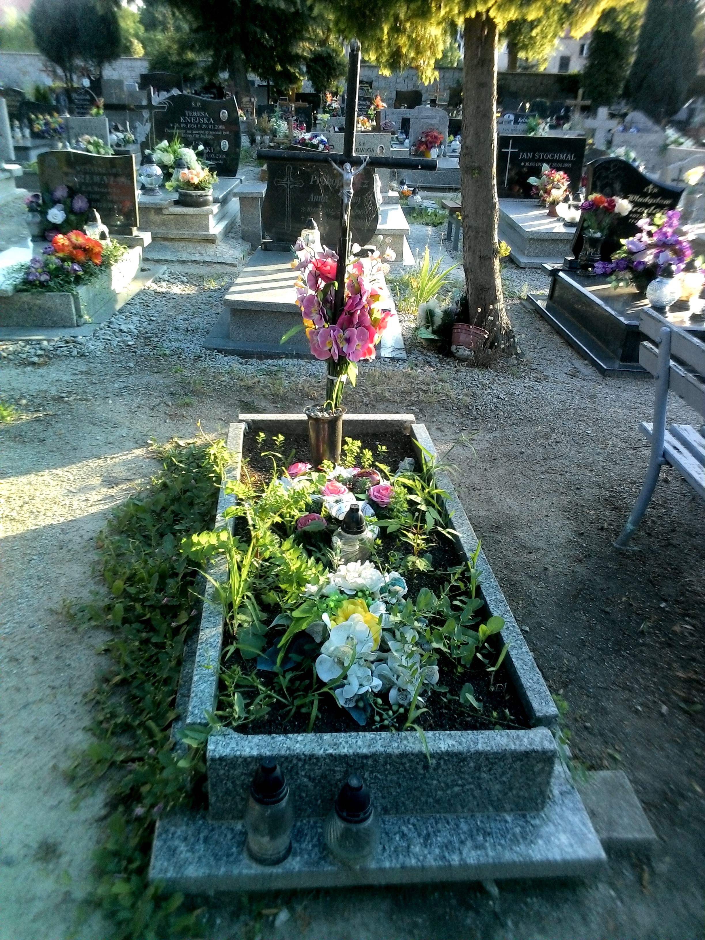 Grób Janina Gralewska