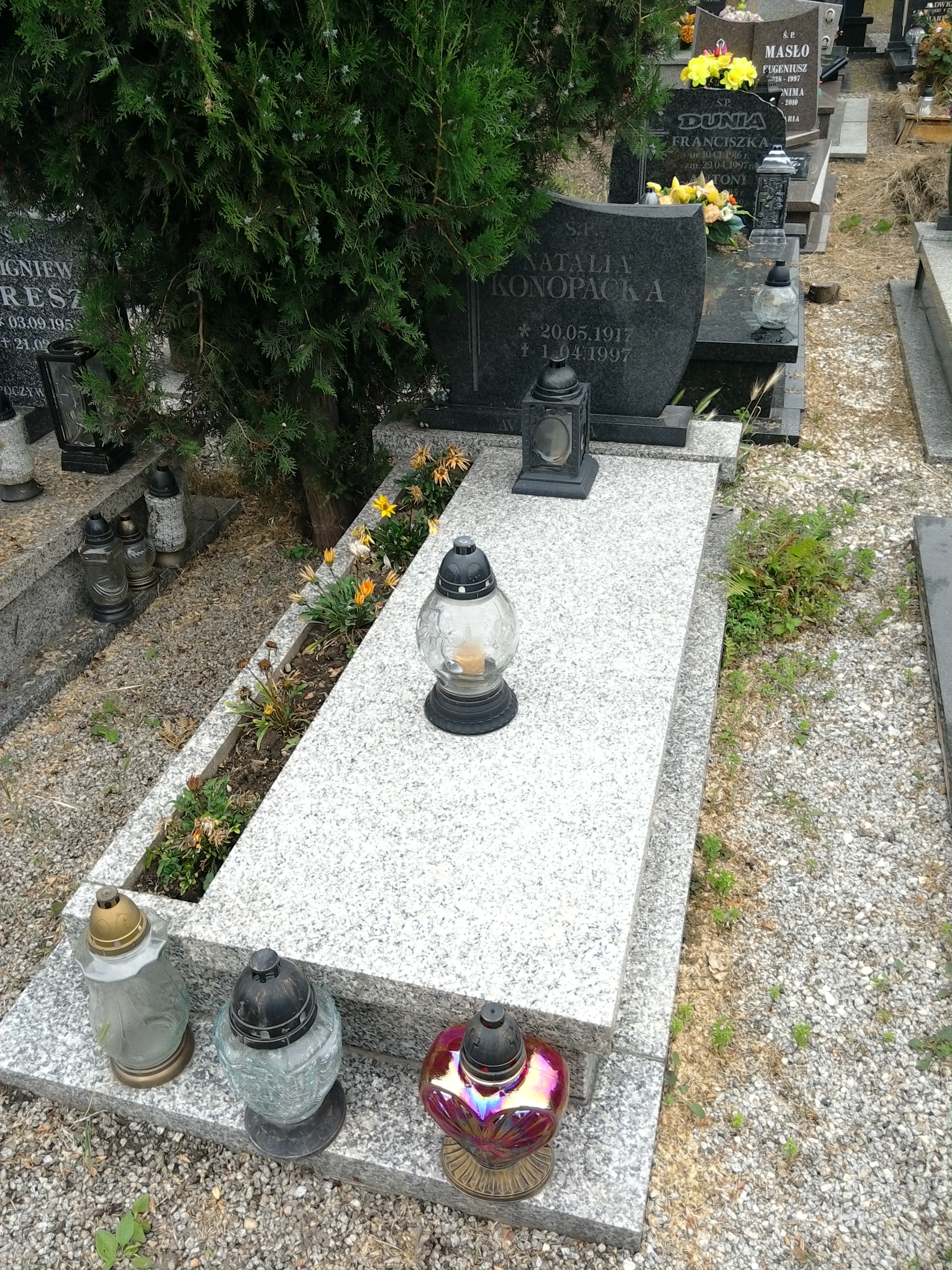 Natalia Konopacka 1920 Strzegom - Grobonet - Wyszukiwarka osób pochowanych