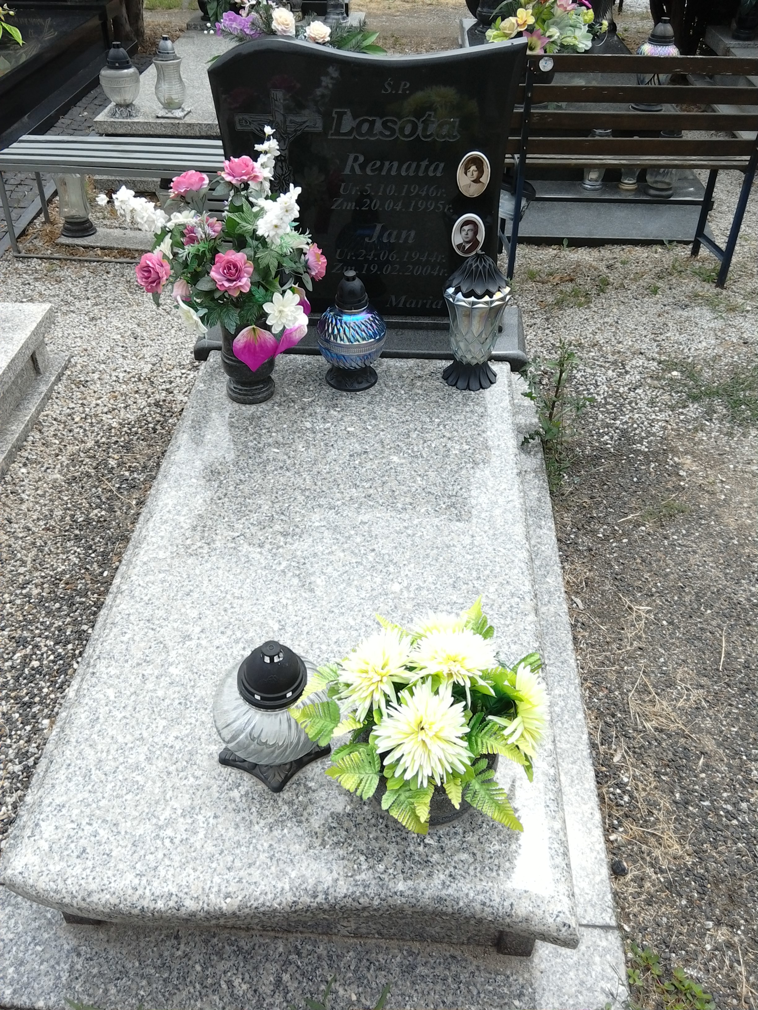 Renata Lasota 1946 Strzegom - Grobonet - Wyszukiwarka osób pochowanych