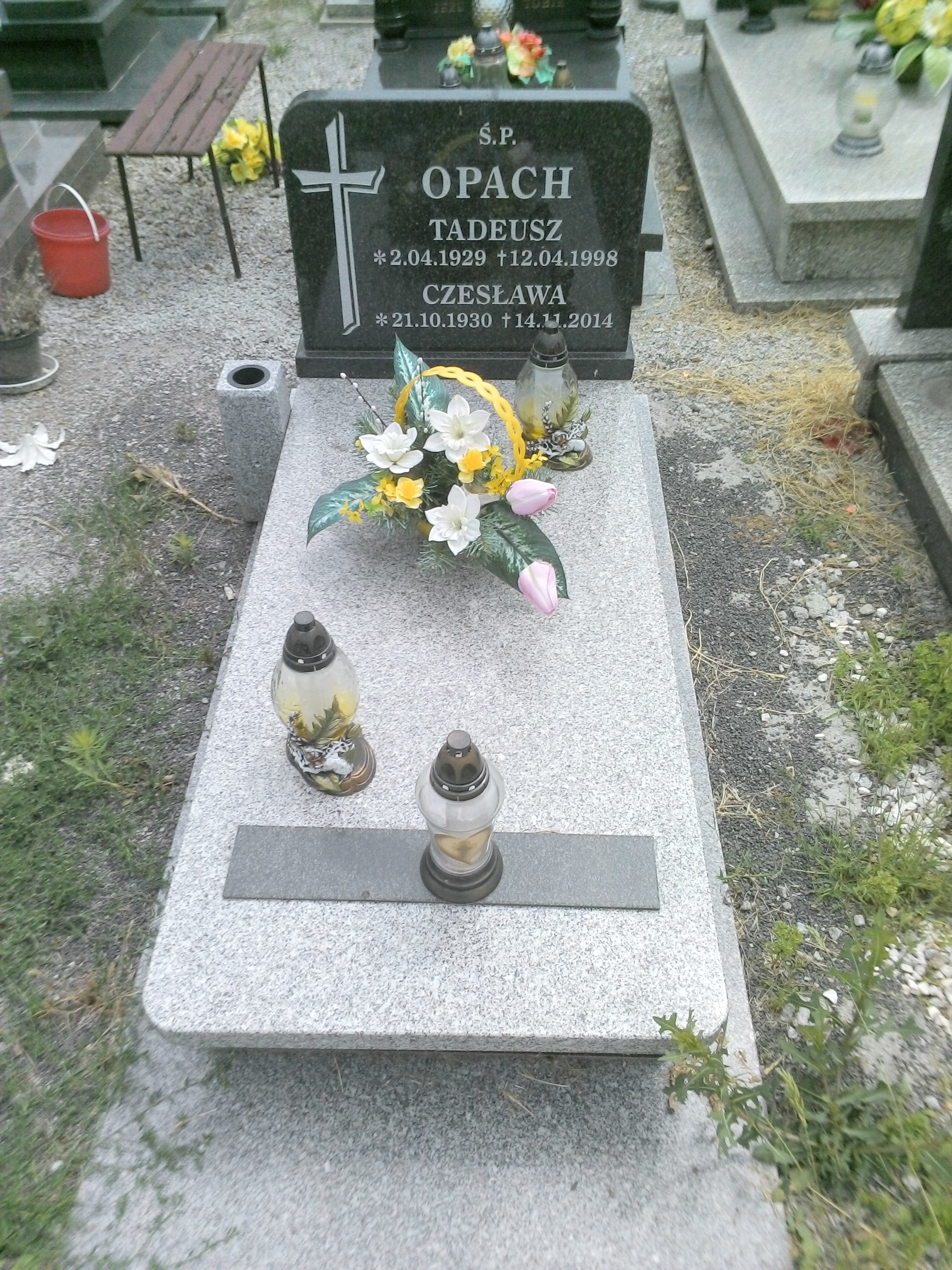 Grób Tadeusz Opach