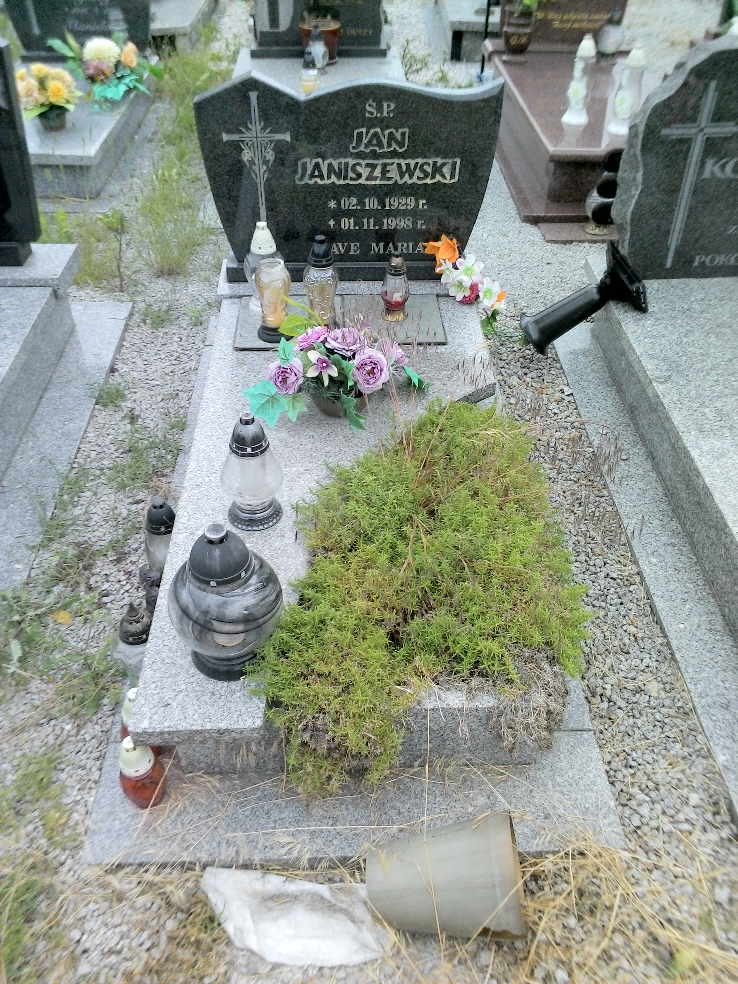 Grób Maria Janiszewska