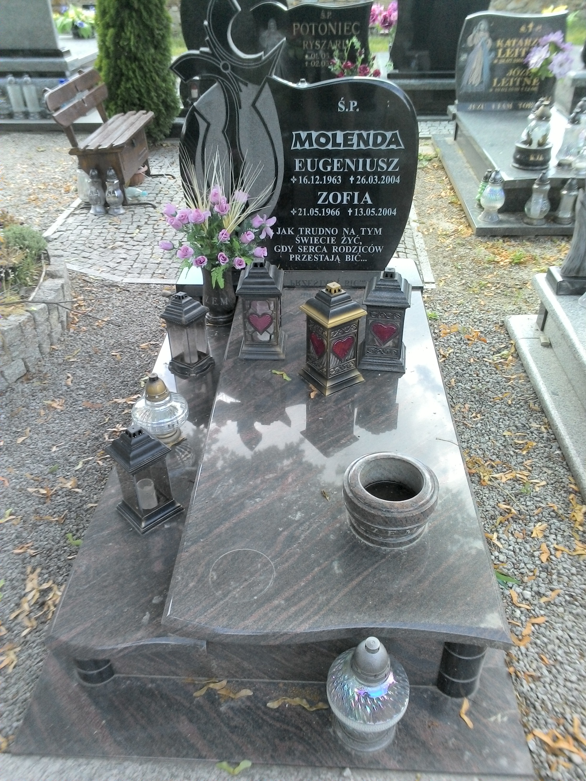 Zofia Molenda 1966 Strzegom - Grobonet - Wyszukiwarka osób pochowanych
