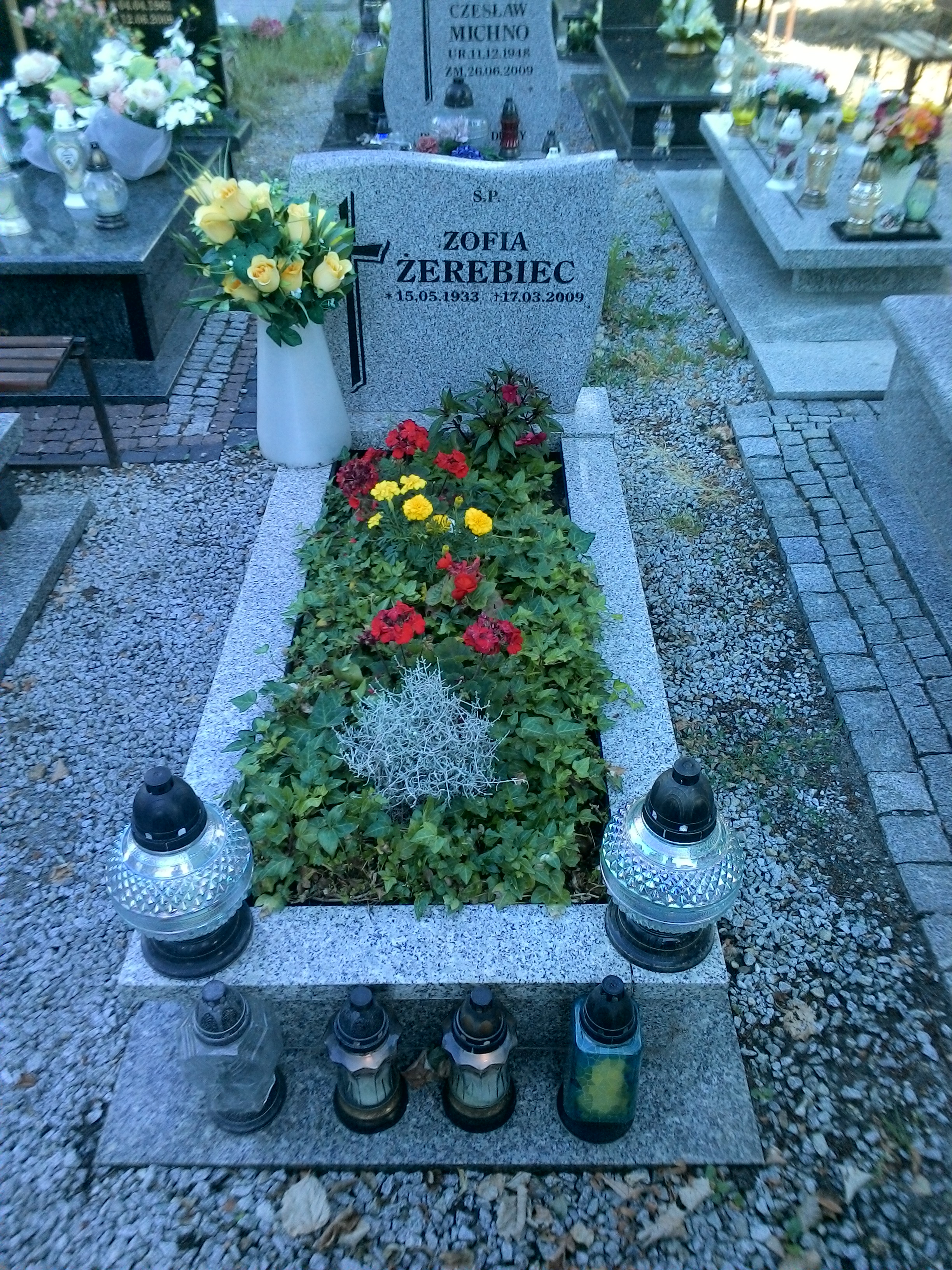 Grób Tadeusz Żerebiec