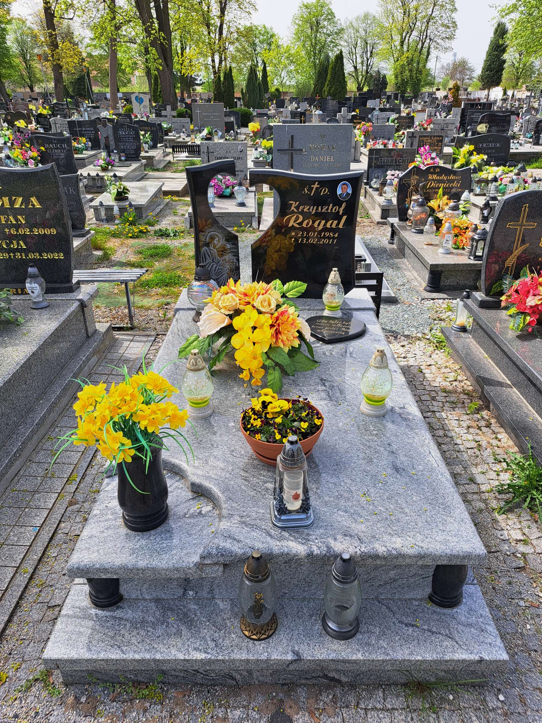 Aleksander Rogala 1901 Strzegom - Grobonet - Wyszukiwarka osób pochowanych