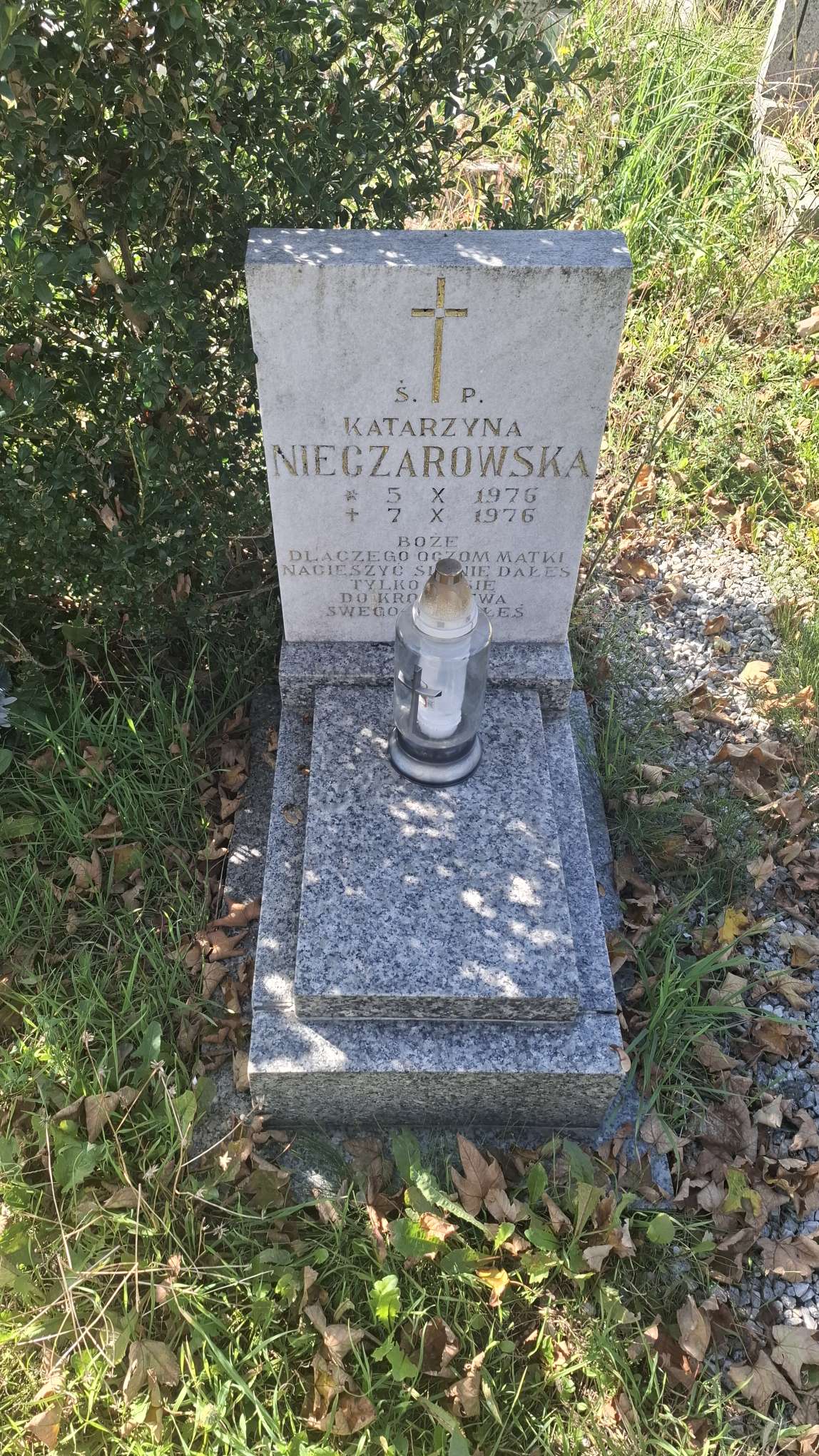 Katarzyna Nieczarowska 1976 Strzegom - Grobonet - Wyszukiwarka osób pochowanych