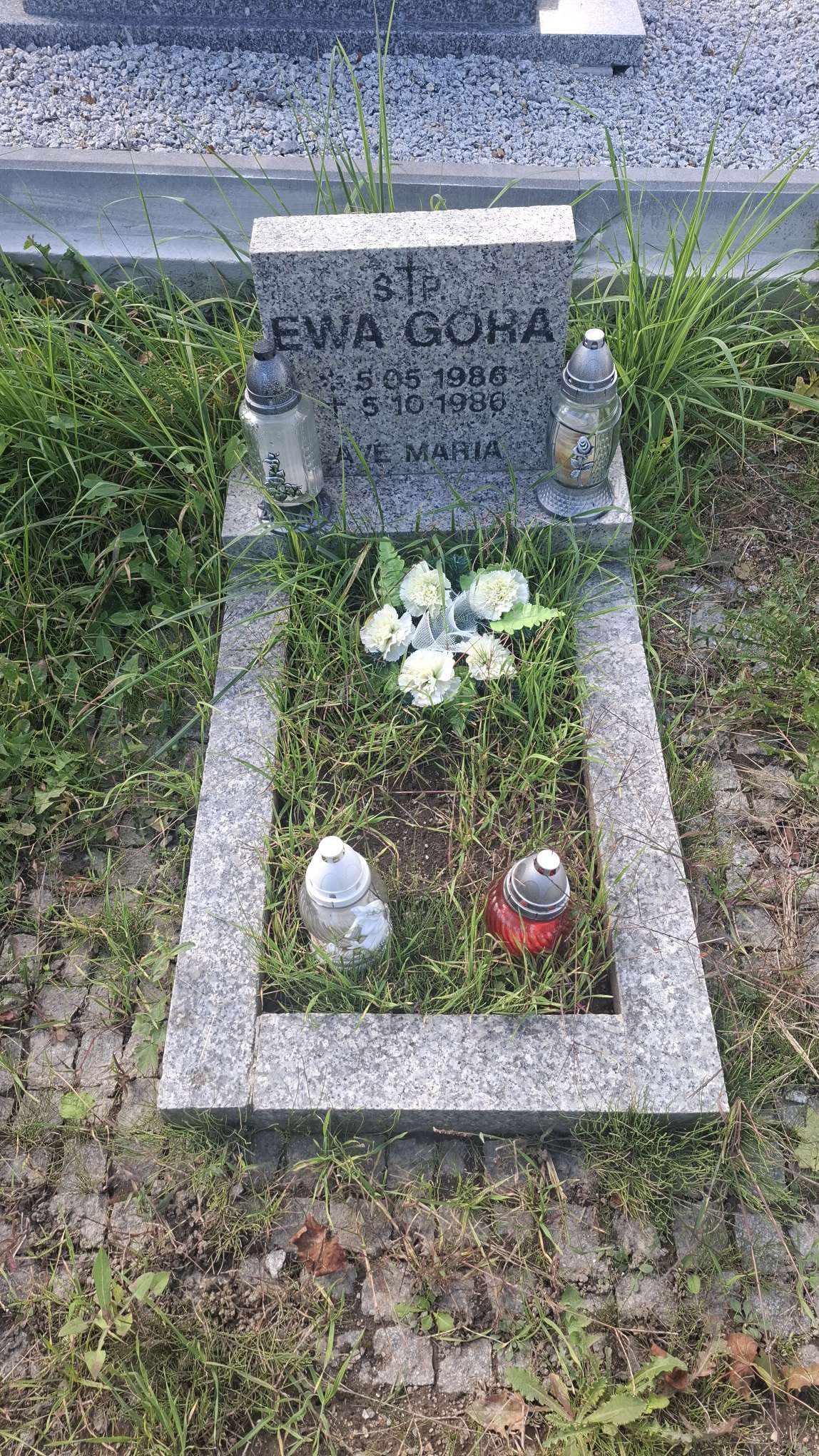 Ewa-Hanna Góra 1986 Strzegom - Grobonet - Wyszukiwarka osób pochowanych