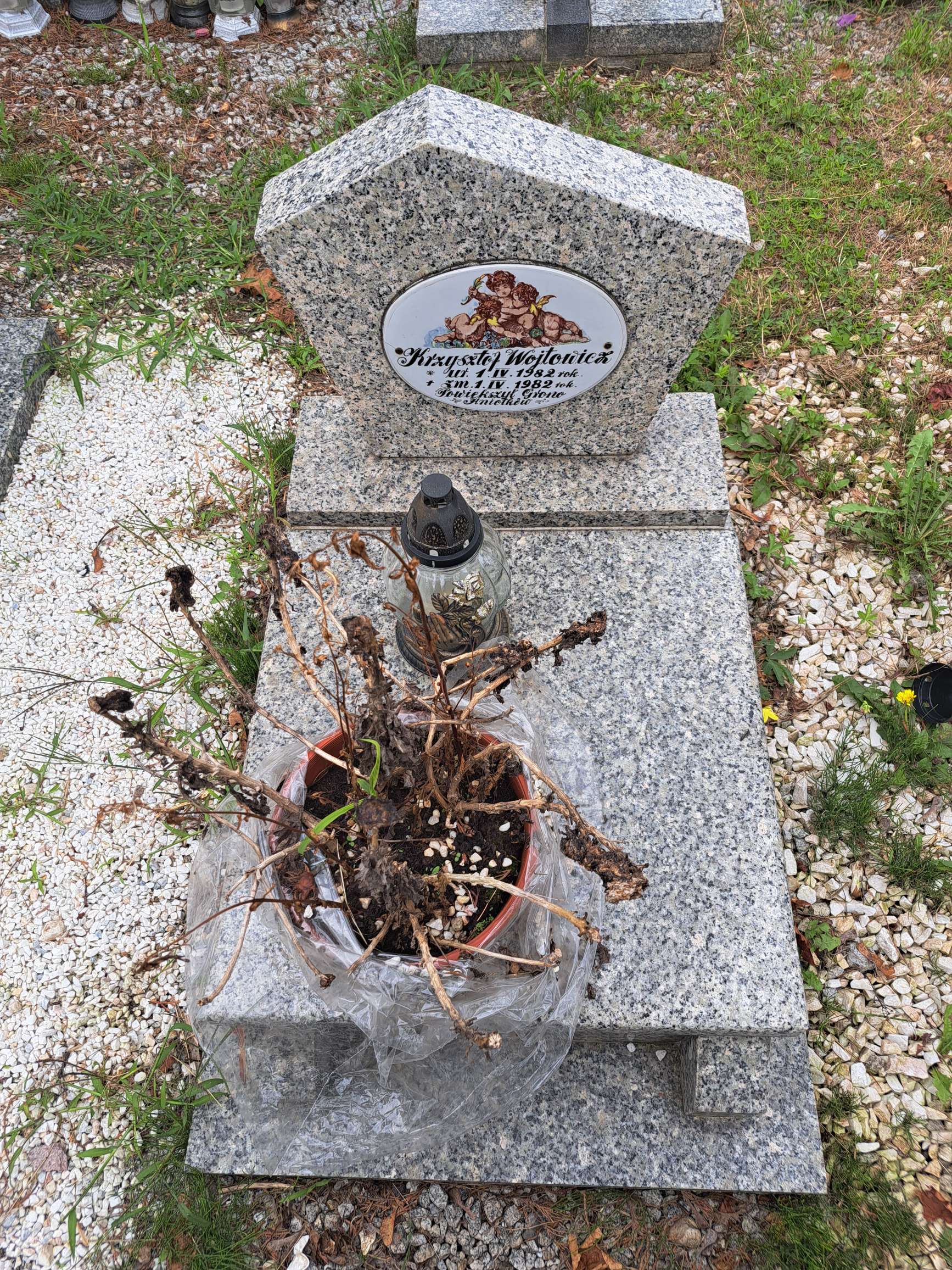 Krzysztof Wójtowicz 1982 Strzegom - Grobonet - Wyszukiwarka osób pochowanych