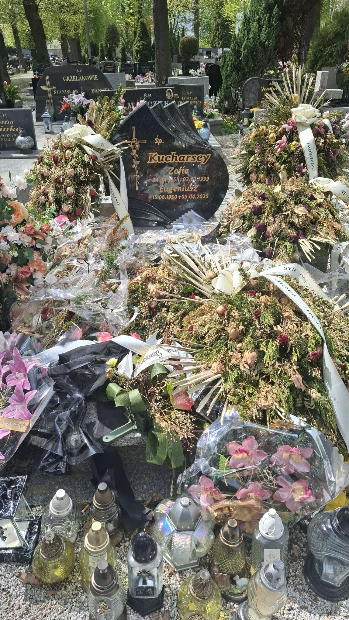 Eugeniusz Kucharski 1950 Strzegom - Grobonet - Wyszukiwarka osób pochowanych