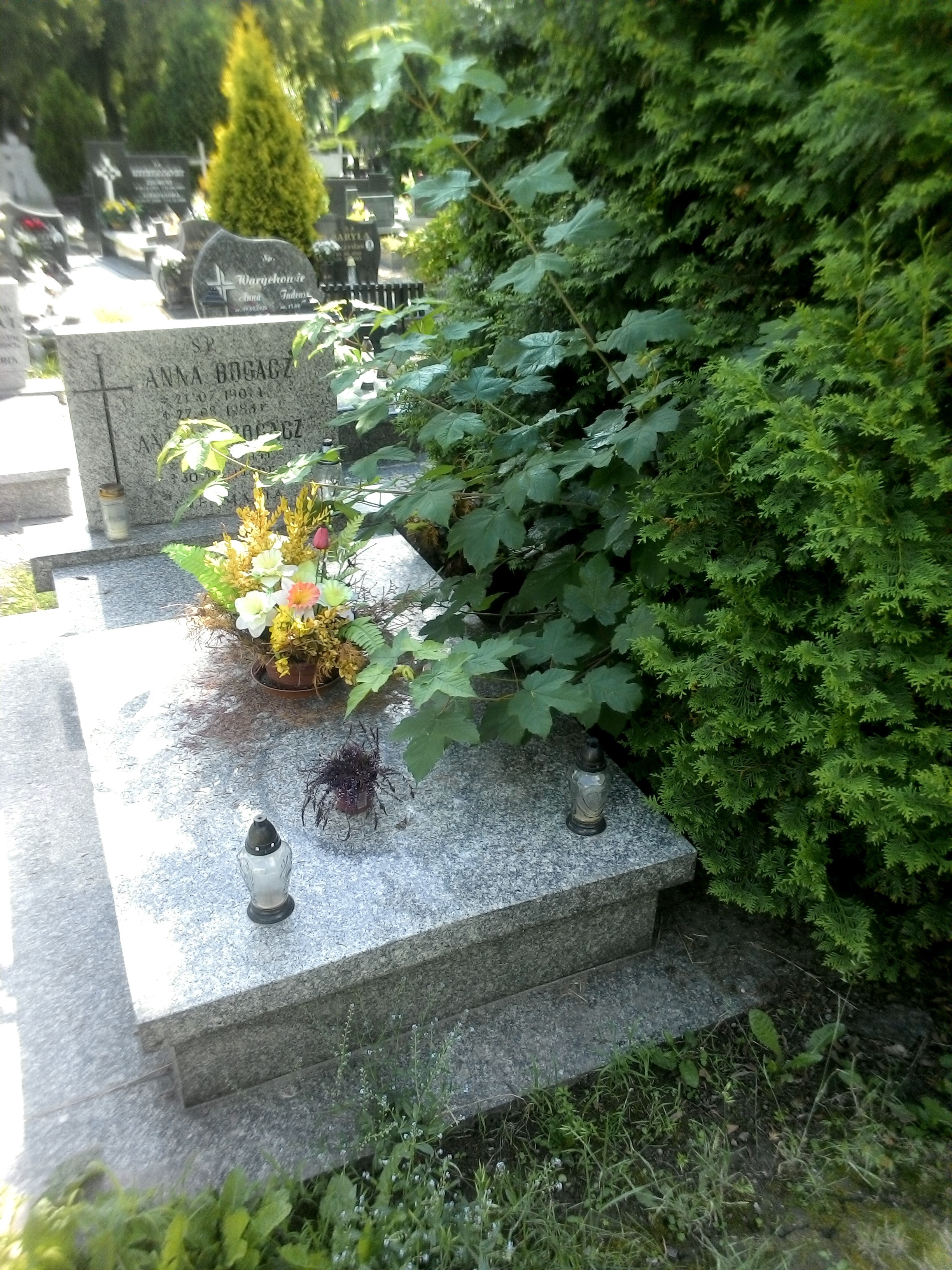 Grób Antoni Bogacz