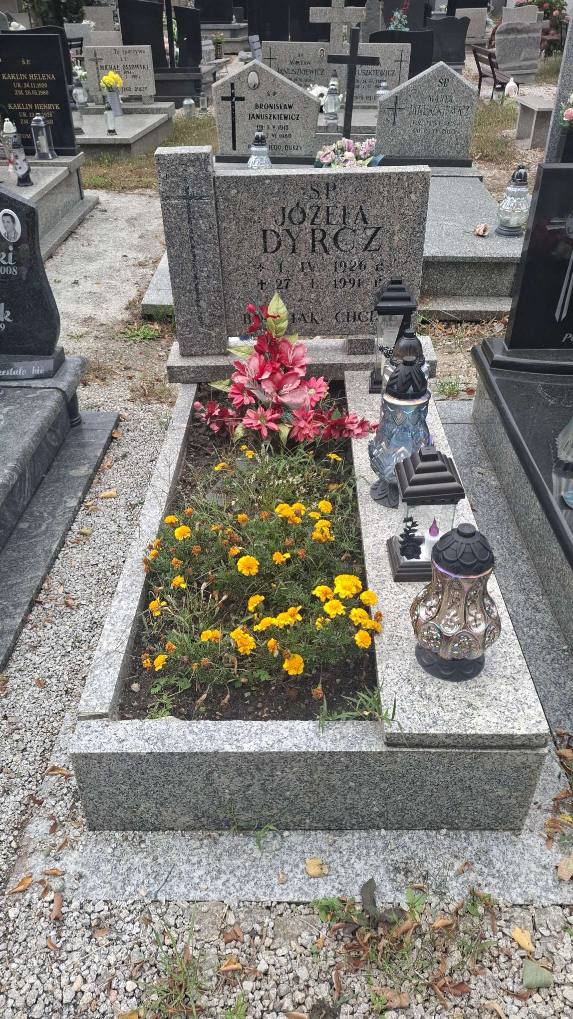 Józefa Dyrcz 1926 Strzegom - Grobonet - Wyszukiwarka osób pochowanych